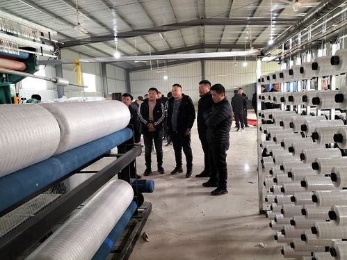 安徽省靈璧縣凱祥捆草網(wǎng)廠正式投產(chǎn)運營