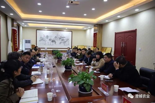 省市領(lǐng)導來澄調(diào)研產(chǎn)業(yè)脫貧技術(shù)服務工作